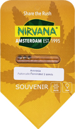 Amnesia AutoFem 