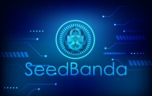 Способы обхода блокировки SeedBanda