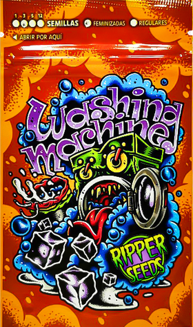 Washing Machine Fem