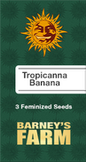 Tropicanna Banana Fem