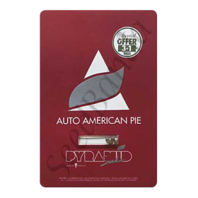 American Pie AutoFem