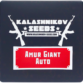 Амурский Гигант AutoFem