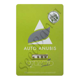 Anubis AutoFem