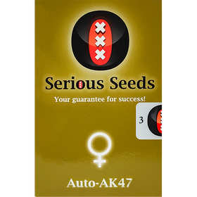 AK-47 AutoFem