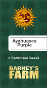 Ayahuasca Purple Fem