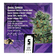 Baikal Express Fem
