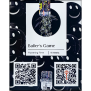Baller`s Game Fem