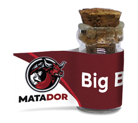 Big Bang AutoFem