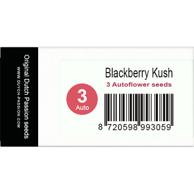 Blackberry Kush AutoFem