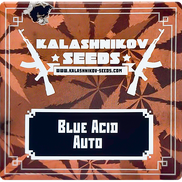 Blue Acid AutoFem