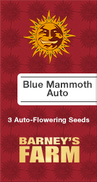 Blue Mammoth AutoFem