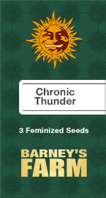 Chronic Thunder Fem