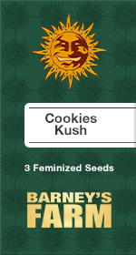 Cookies kush