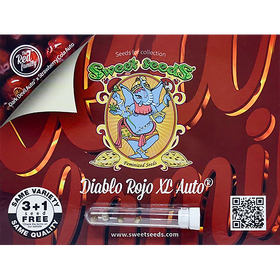 Diablo Rojo XL AutoFem