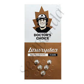 Lowryder AutoReg