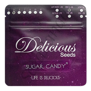 Sugar Candy Fem