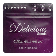 Critical Neville Haze 2.0 Fem