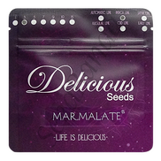Marmalate Fem