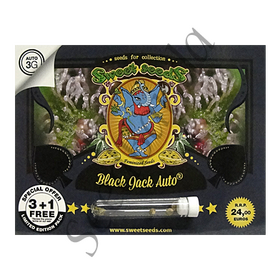 Black Jack AutoFem