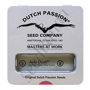 Duck AutoFem