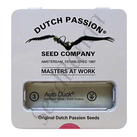 Duck AutoFem