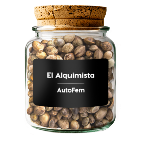 El Alquimista AutoFem