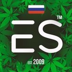 Error seeds сидшоп