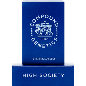 High Society Fem