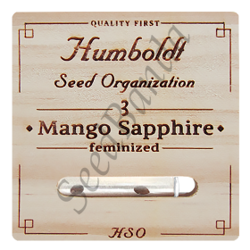 Mango Sapphire Fem