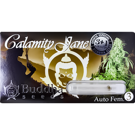 Calamity Jane AutoFem