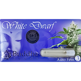 White Dwarf AutoFem