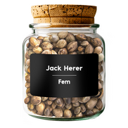 JACK HERER Fem