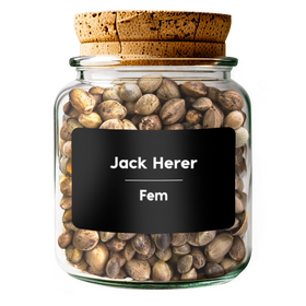 JACK HERER Fem