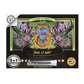 Jack 47 AutoFem