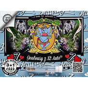 Jealousy Z XL AutoFem