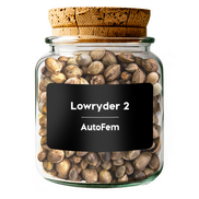 Lowryder 2 AutoFem