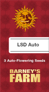 LSD AutoFem