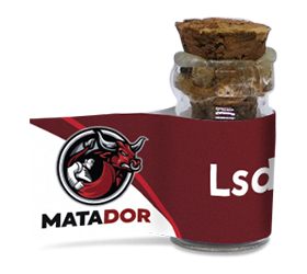 Lsd AutoFem