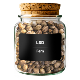 LSD Fem