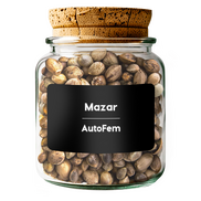 Mazar AutoFem