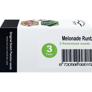 Melonade Runtz Fem