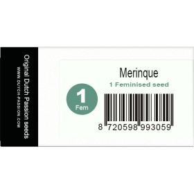 Merinque Fem