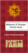 Mimosa X Orange Punch AutoFem
