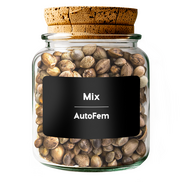 Mix AutoFem