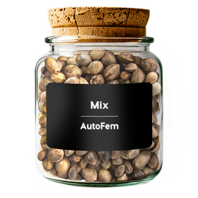 Mix AutoFem