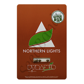Northern Lights Fem