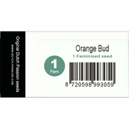 Orange Bud Fem