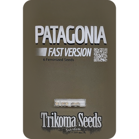Patagonia Fast Version Fem