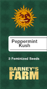 Peppermint Kush Fem