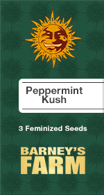 Peppermint Kush Fem